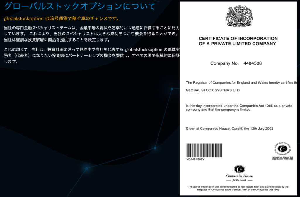 Global Stocks Optionの会社情報