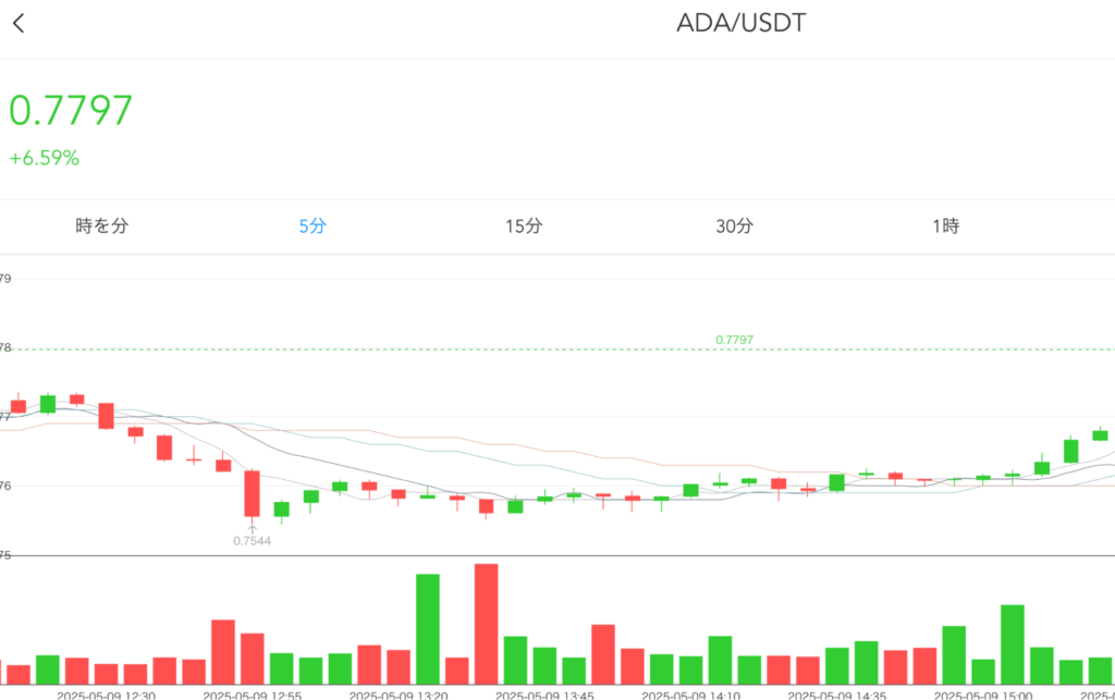 bitmaxexcの契約画面