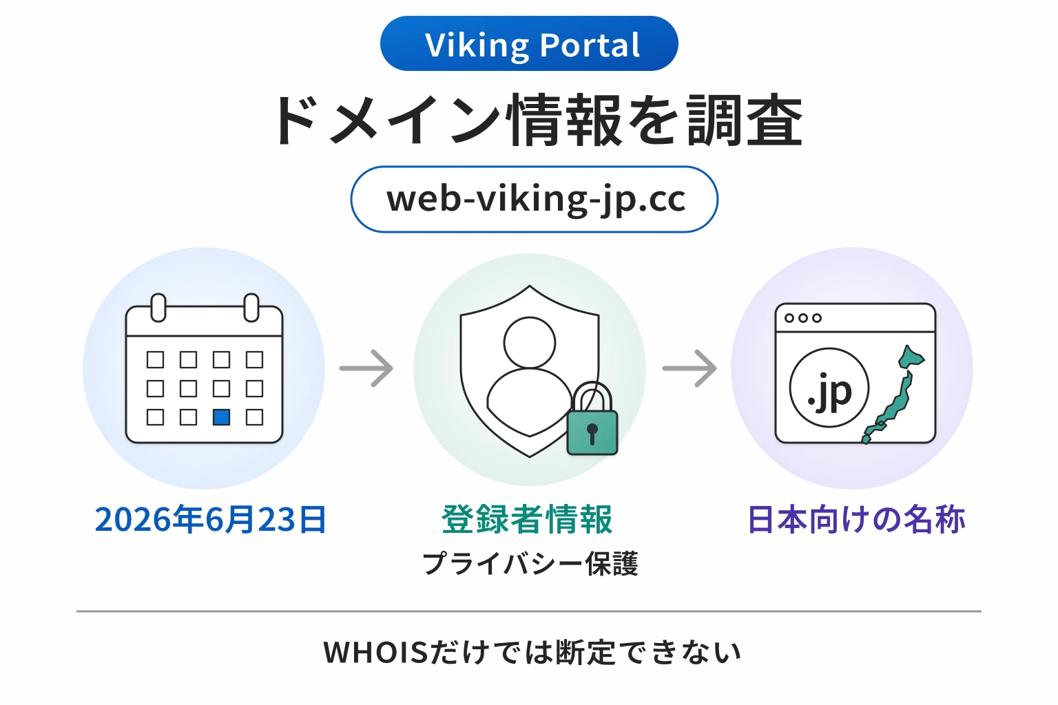 Viking Portal（web-viking-jp.cc）のドメインに紐づく情報から怪しい点を調査