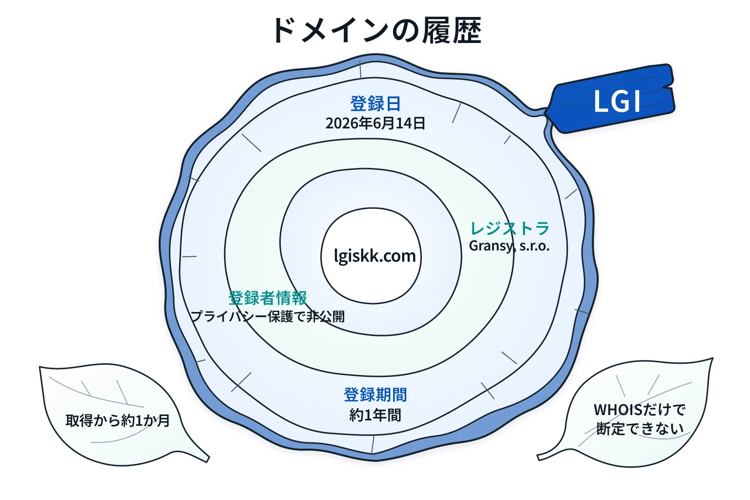 LGIのドメインに紐づく情報から怪しい点を調査